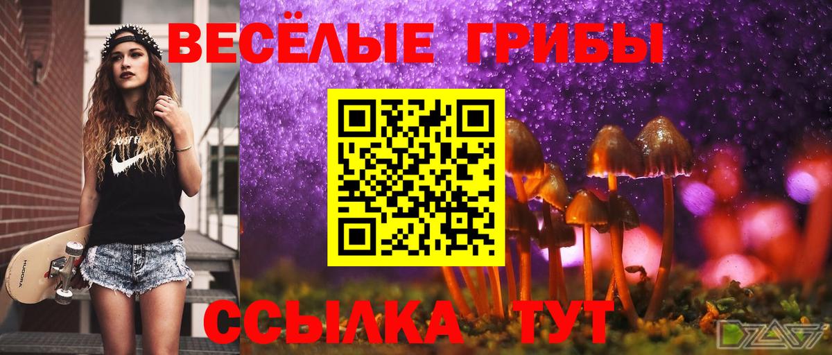 Псилоцибиновые грибы прущие грибы Иваново